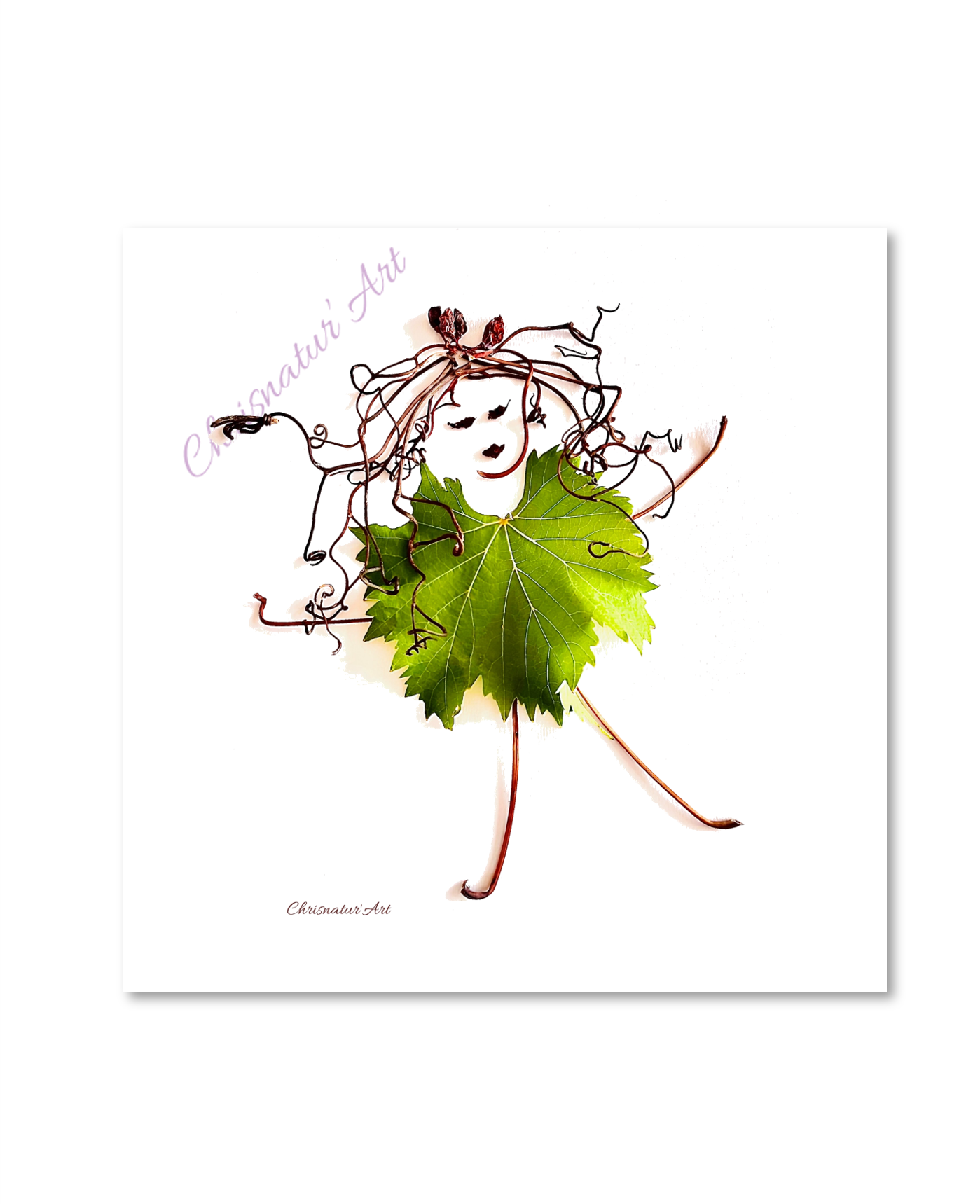 Miss vine frisoti